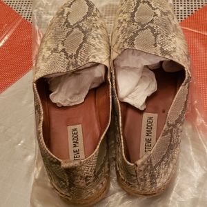 Steve madden shoe